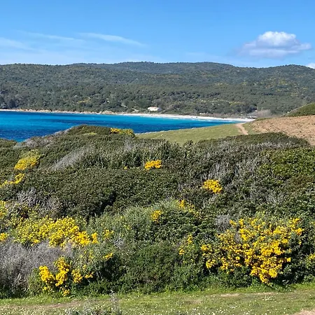 Marinella Route Des Sanguinaires Corse 아작시오