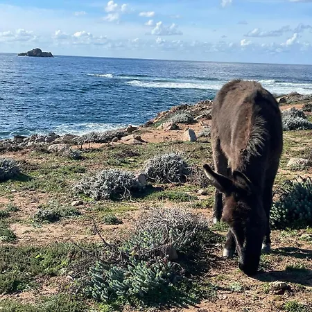 Marinella Route Des Sanguinaires Corse 아파트 아작시오