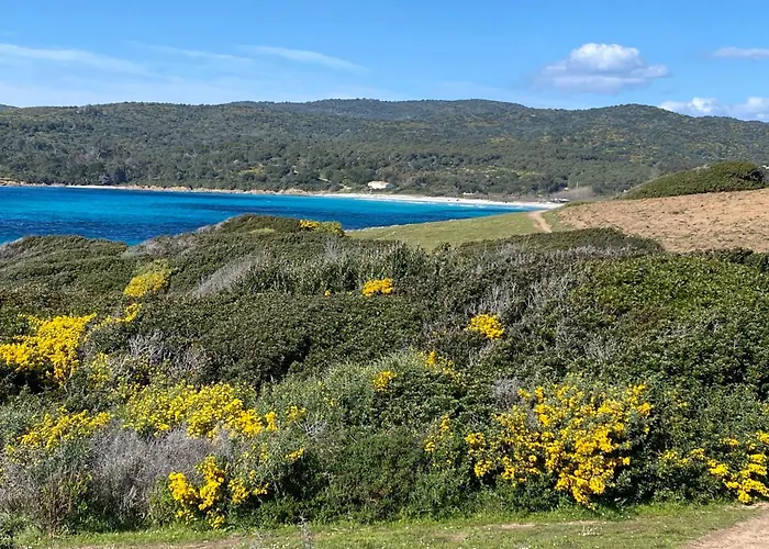 Marinella Route Des Sanguinaires Corse Ajaccio